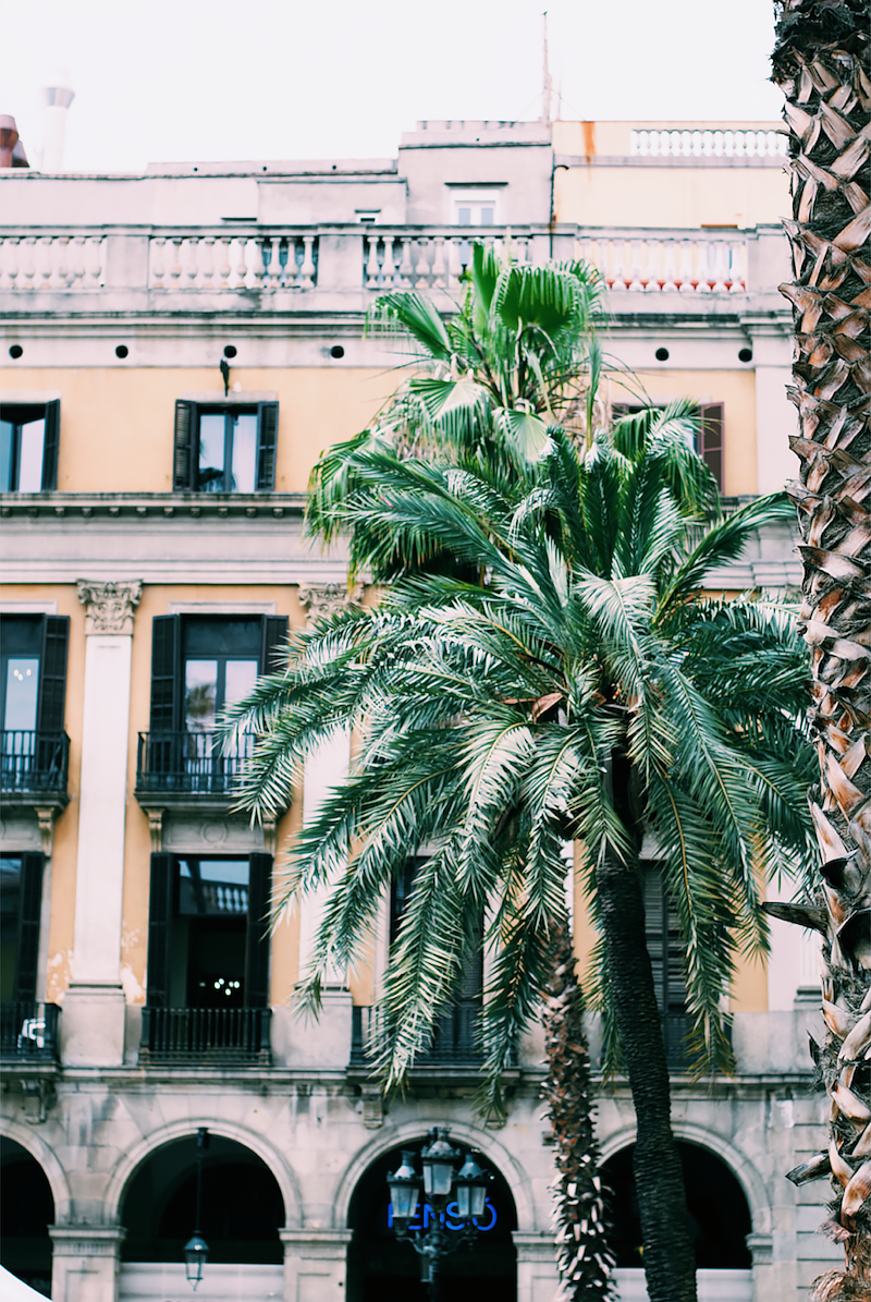 barcelona reise tipps insider palmen stadt