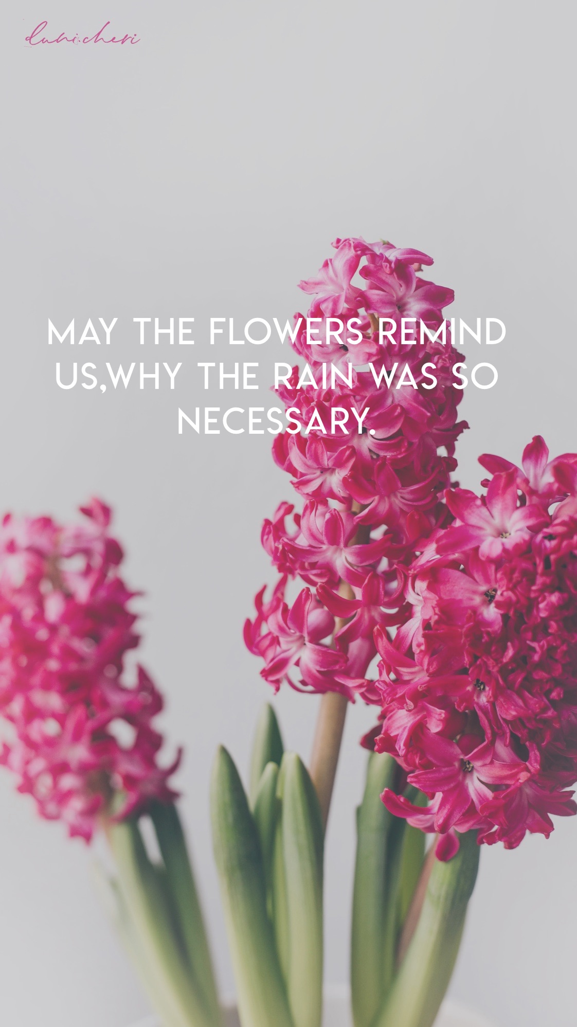 wallpaper flowers quote mobile