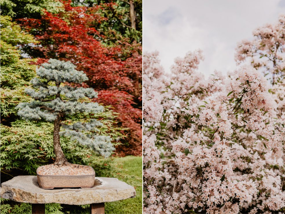 botanischer garten prag