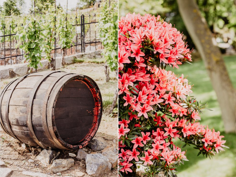 prag reise tipps weingut