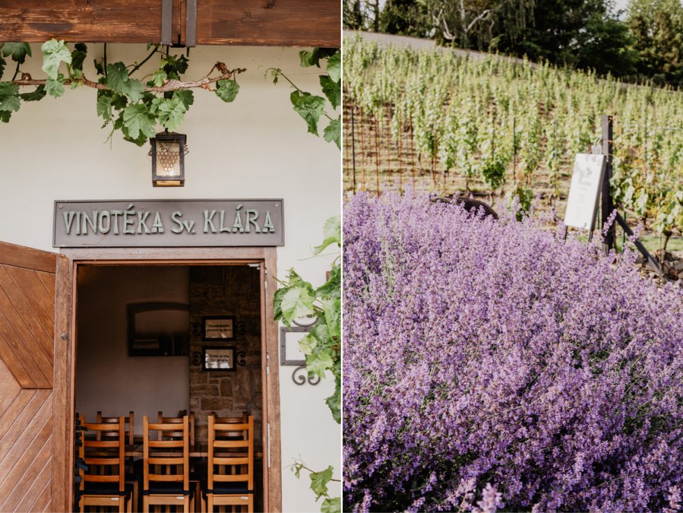 vinothek prag weingut st klara