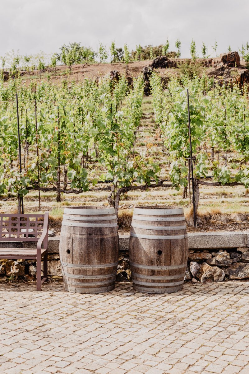 weingut st klara prag