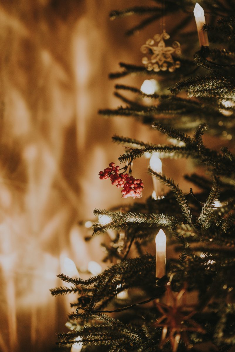 weihnachten nachhaltig feiern grossfamilie