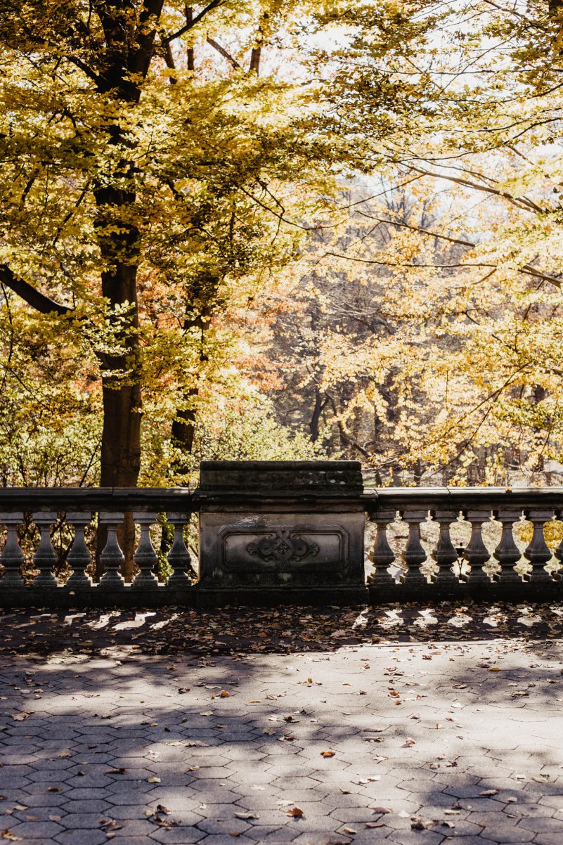 central park herbst sonne