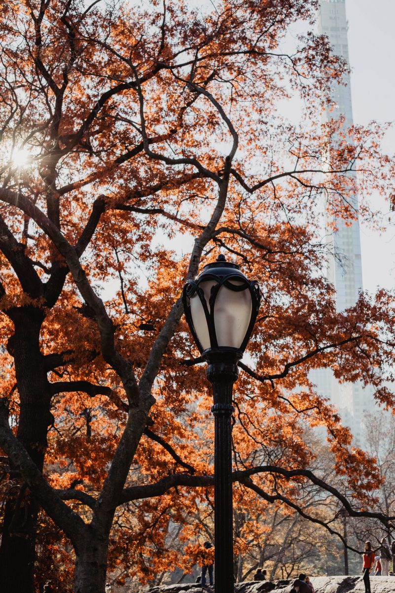 herbst new york manhattan central park