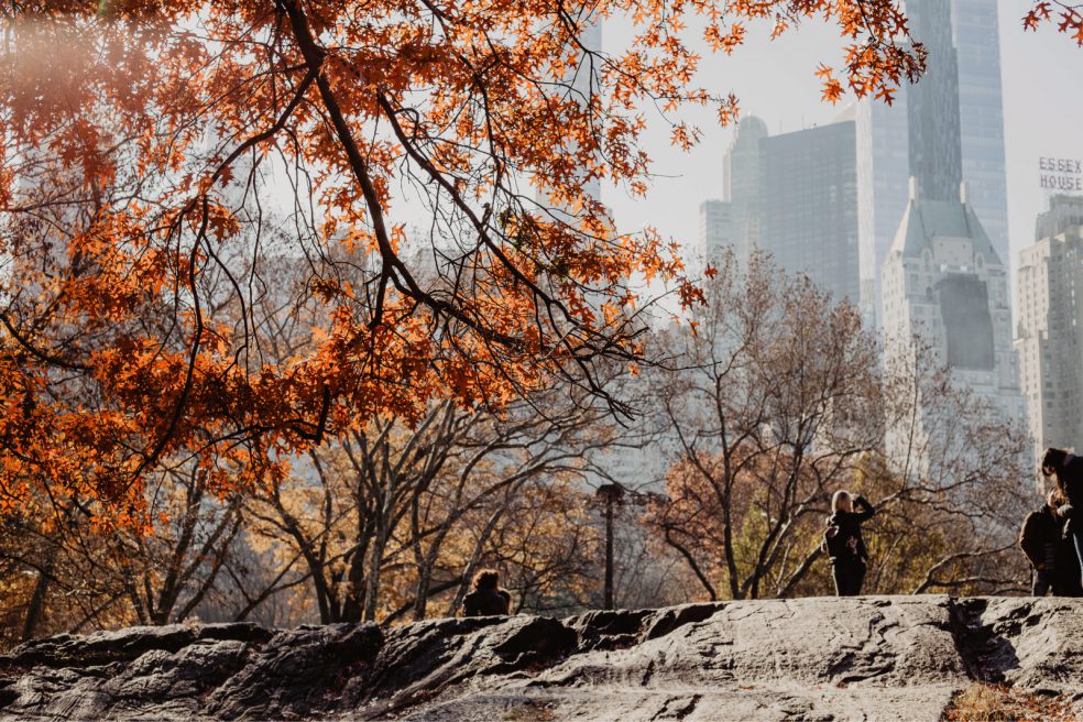 herbst new york tipps