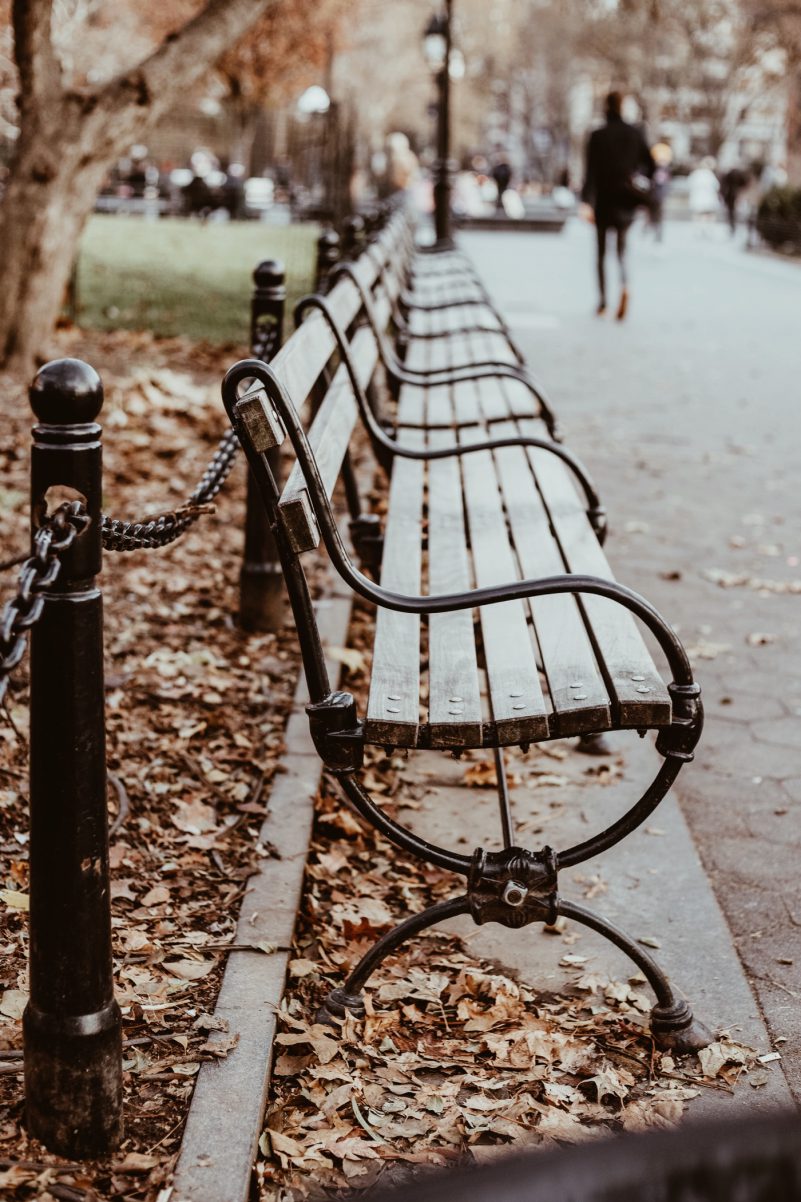new york park herbst