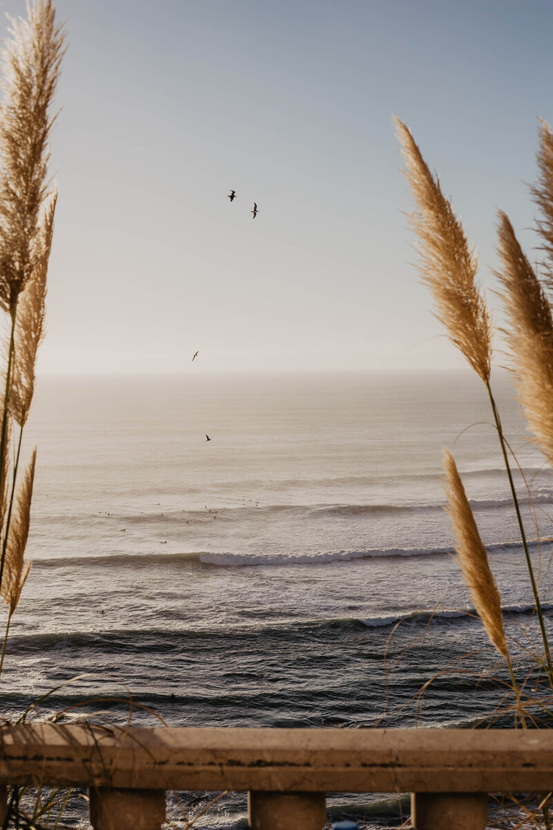 surf urlaub tipps