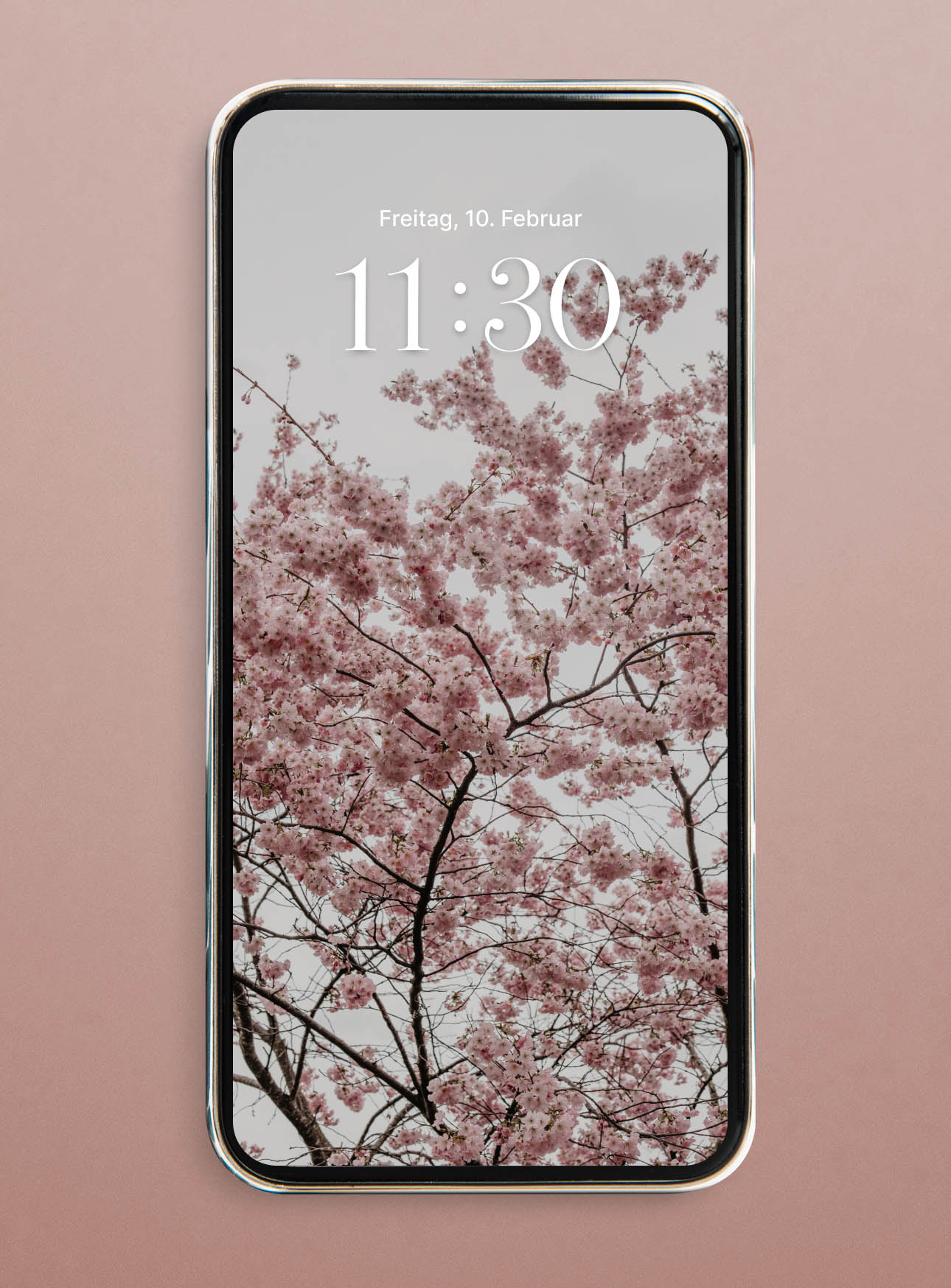 hanami cherry blossom wallpaper iphone hd