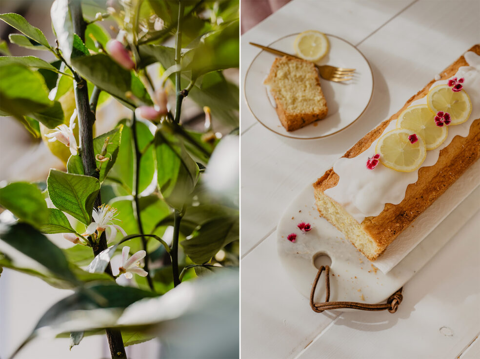 kuchen zitronen