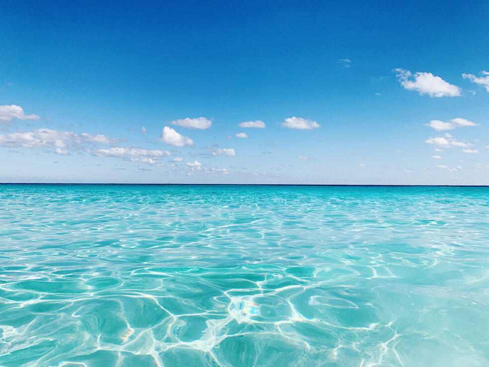 pink sand beach harbour island karibik wasser