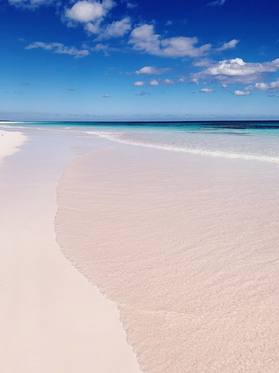 pink sand beach harbour island