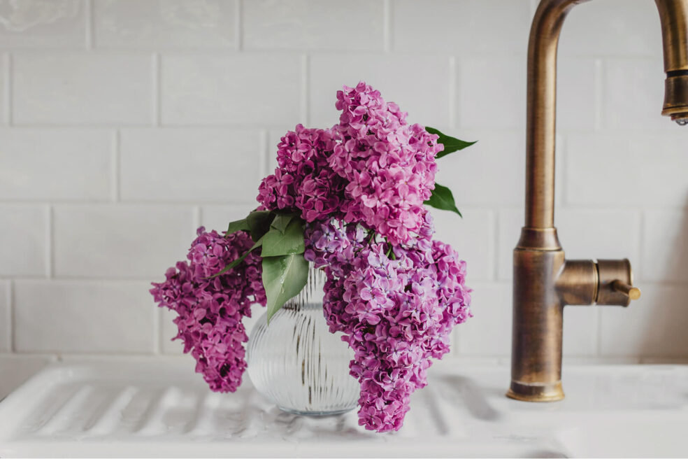 lilac flieder blumen wallpaper desktop hd
