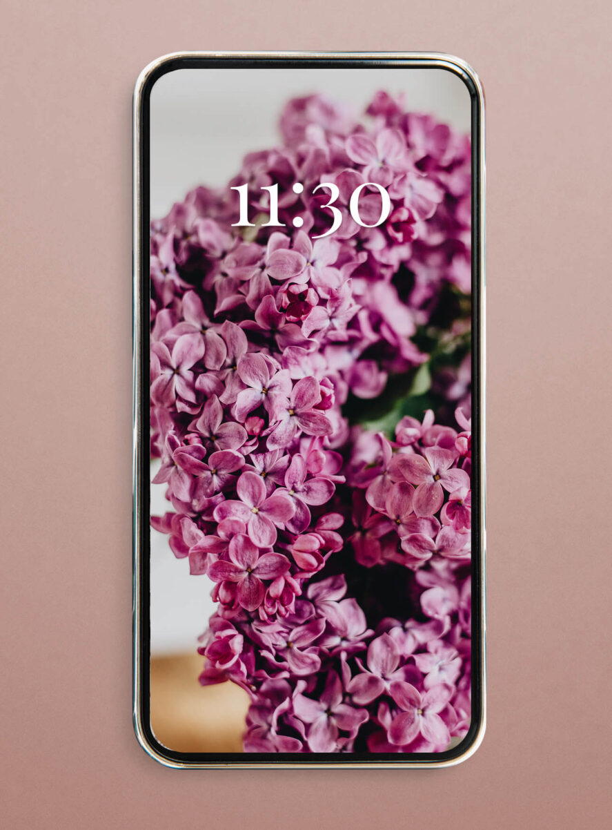 lilac flieder blumen wallpaper smartphone iphone hd