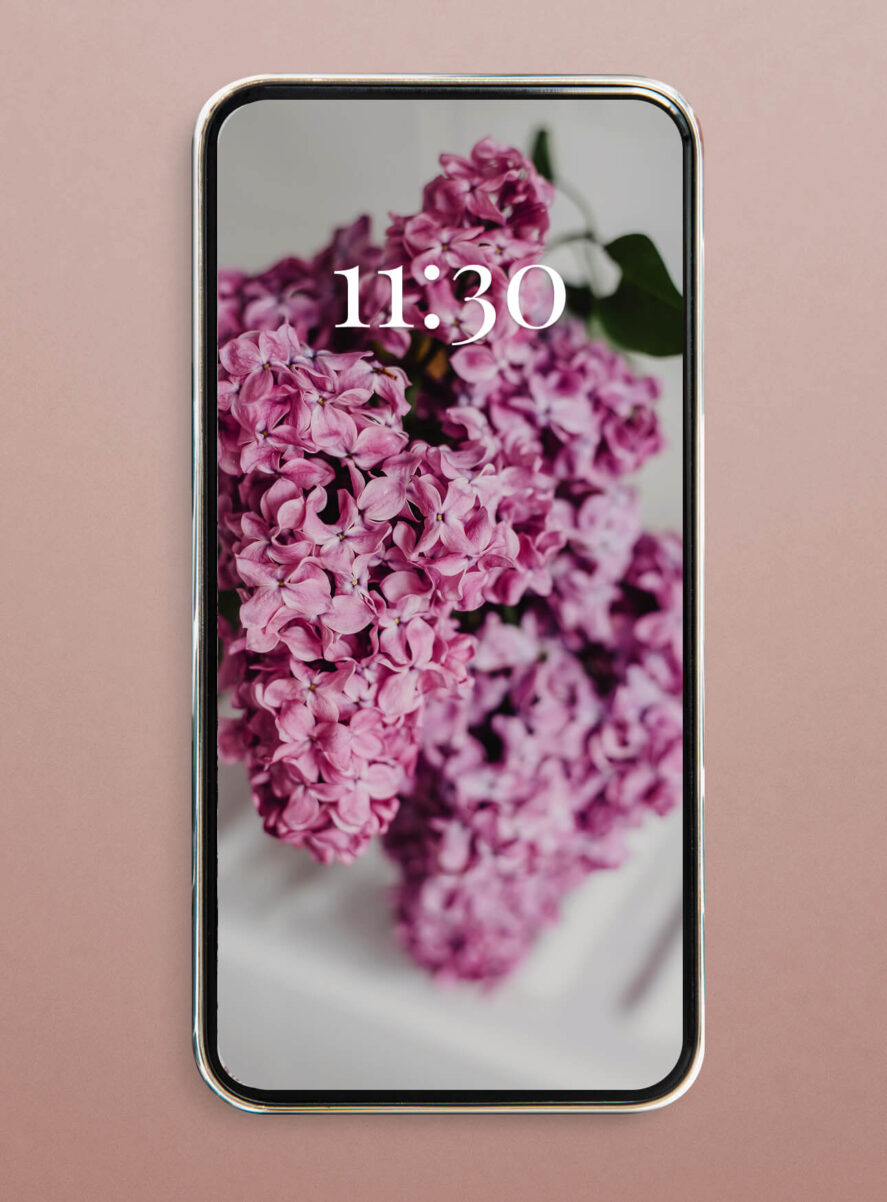 lilac flieder blumen wallpaper smartphone iphone hd