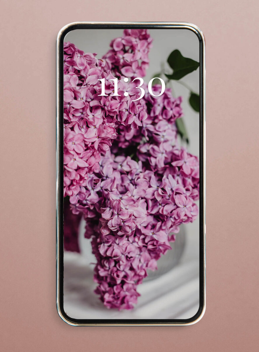 lilac flieder blumen wallpaper smartphone iphone hd