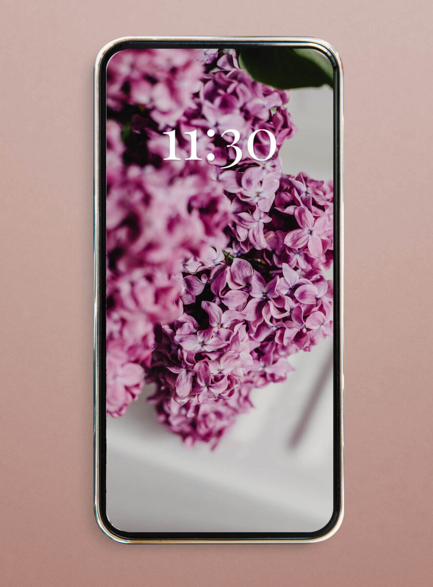 lilac flieder blumen wallpaper smartphone iphone hd