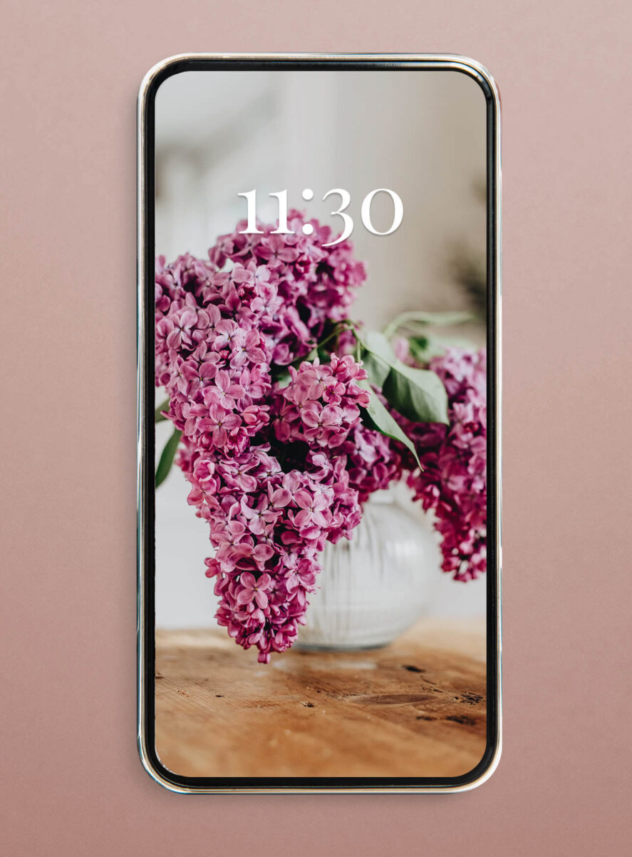 lilac flieder blumen wallpaper smartphone iphone hd