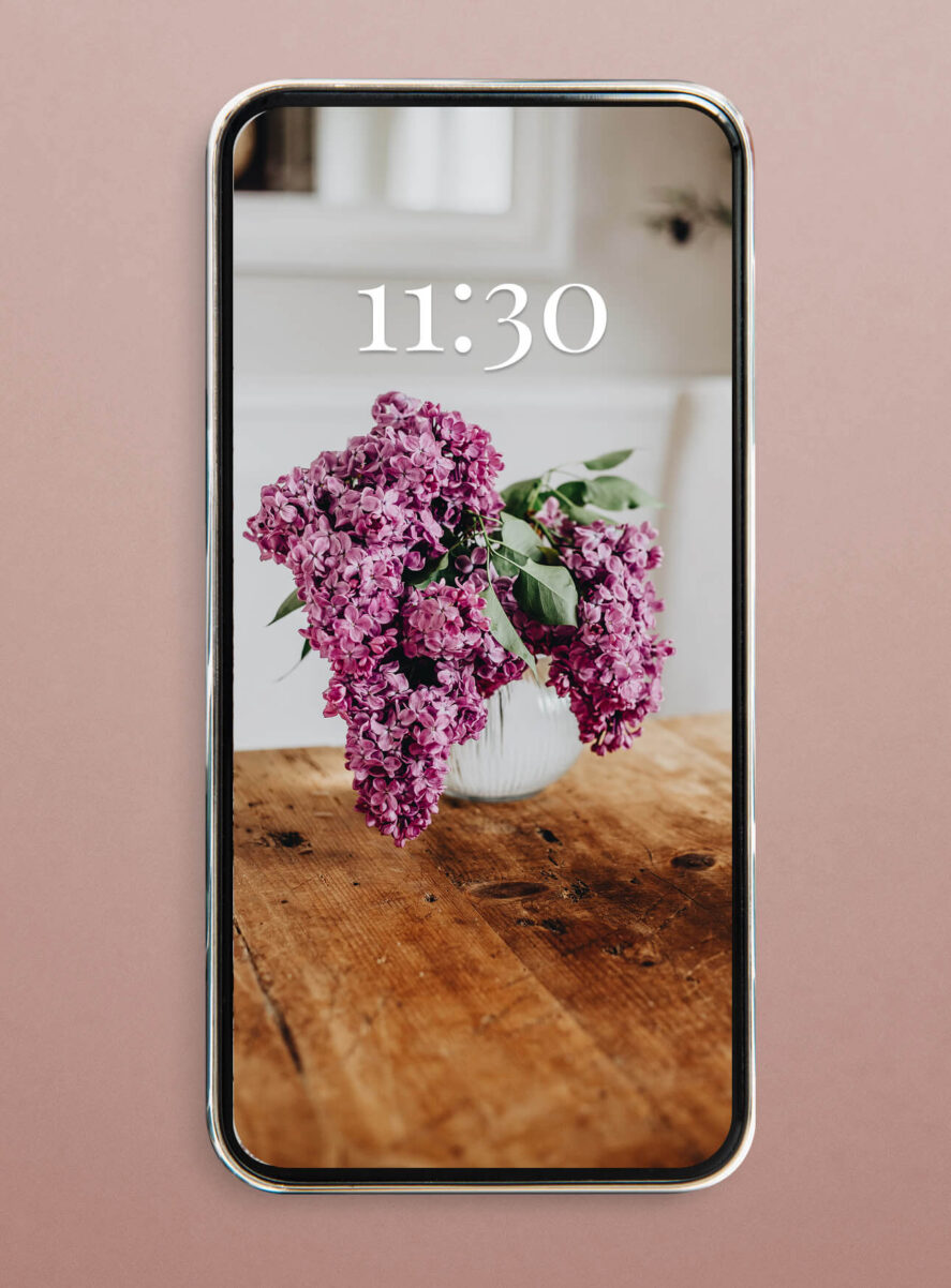 lilac flieder blumen wallpaper smartphone iphone hd