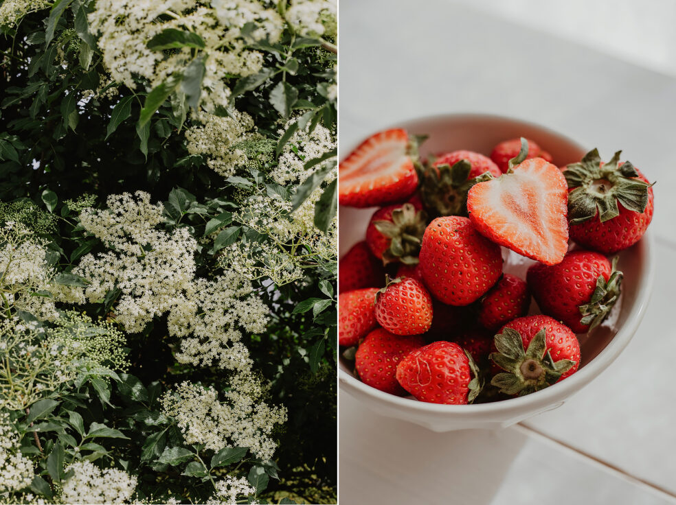 Holunderblüten Erdbeeren Rezept Ideen