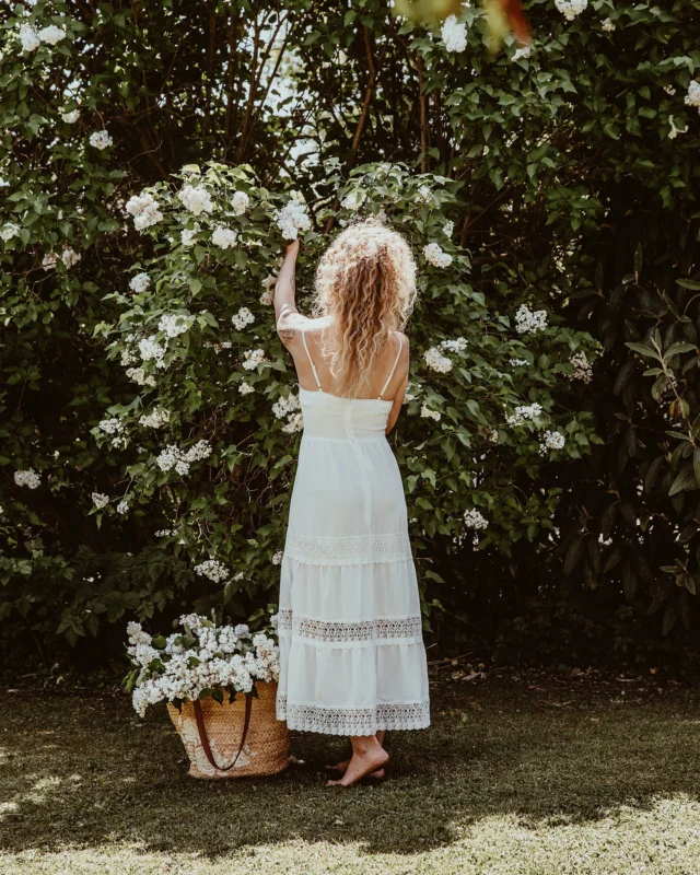 So in love with & thankful for this old garden - sometimes it feels like a magical forest 🤍🌿🪷🦋🧚 Auch nach 5 Jahren ist es jedes Mal überwältigend, wenn ich hier draußen bin. Soweit ich weiß, sind manche Bäume in unserem Garten über 70 Jahre alt und haben schon so viel gesehen. Ich bin hier aufgewaschen und erinnere mich noch daran, wie klein manche von ihnen damals waren und wie ich auf ihnen herum geklettert bin. Meine Müms hat damals den Garten so gestaltet, dass über das ganze Jahr hinweg etwas blüht, quasi ein kleines Paradies für Bienen 🐝 Das will ich fortführen 🫶

#garden #gardening #gardenlove #gardeninspo #gardenlife #magicalplace #magicalforest #cottage #cottagecoreaesthetic #cottagecore #whitedress #landleben #nature #aesthetic #aesthetics #ugc #ugccreator